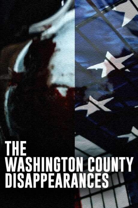 In 2020, during the early days of the Covid-19 pandemic, a recently laid-off plant worker, Luke Edwards, begins recording his desperate search for his missing fiancé with an action camera. His investigation leads him to suspect she may be a prisoner of a cunning and terrifying serial killer, prompting a harrowing and increasingly dangerous pursuit through the night.